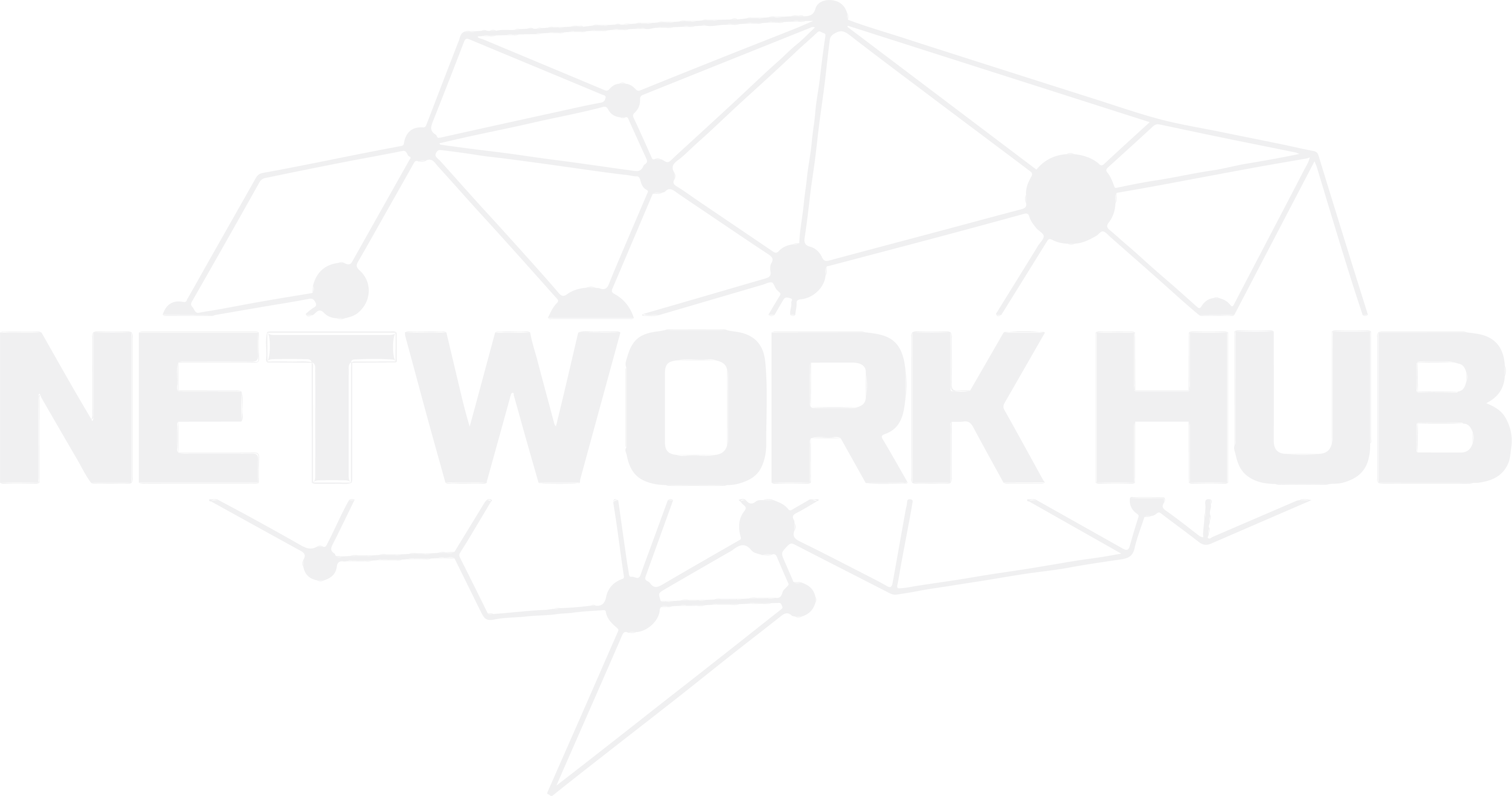 Network Hub
